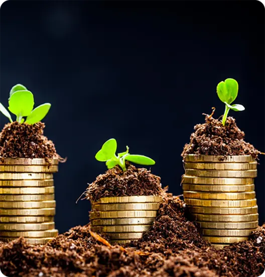 Premier Liquidity Solutions